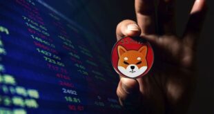 1663538830 shibs most profitable staking is now available on this crypto exchange min