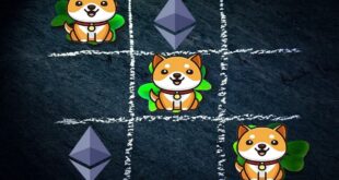 babydoge coin flips ethereum as the most top 1000 bsc whales