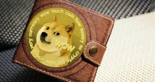 doge wallet