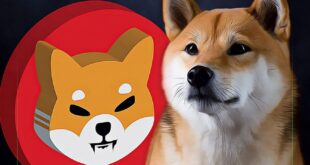 okse adds support for shiba inu