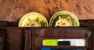 dogecoin wallet gID 7